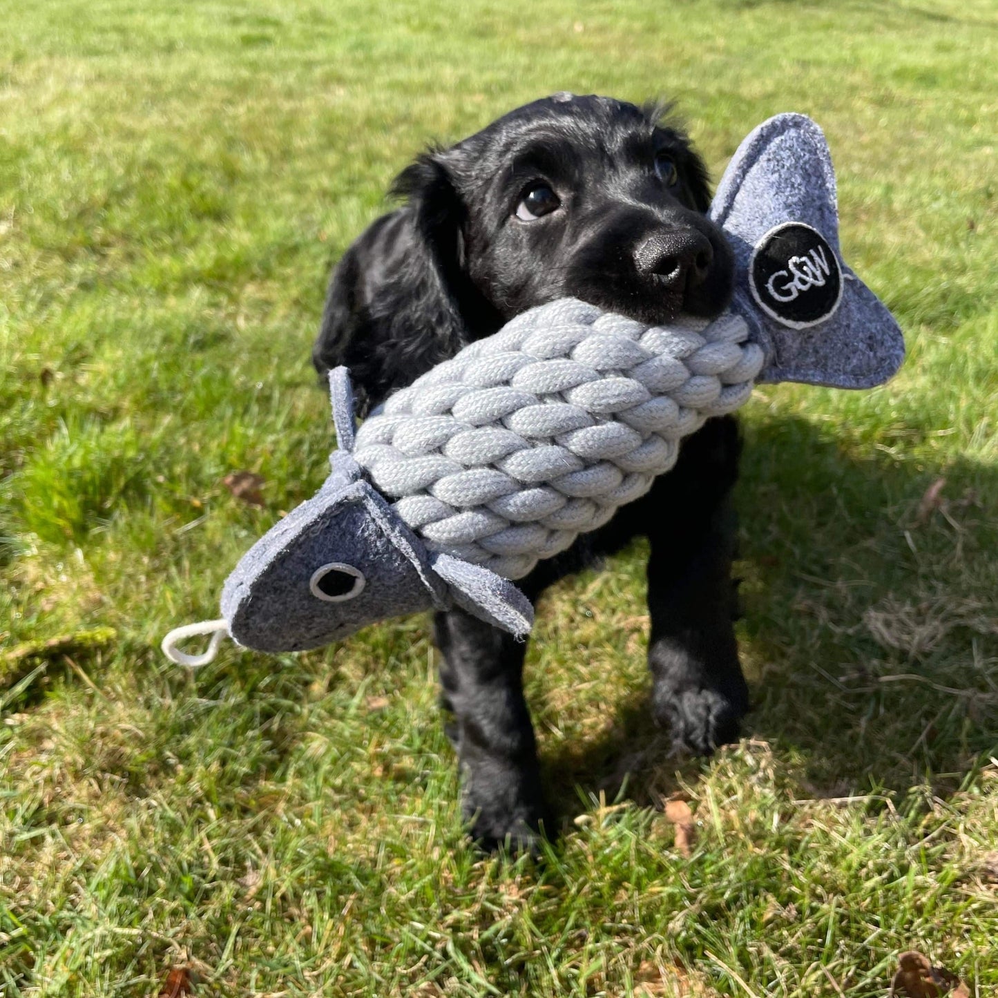 Roger the Ropefish eco toy