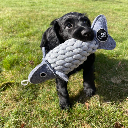 Roger the Ropefish eco toy