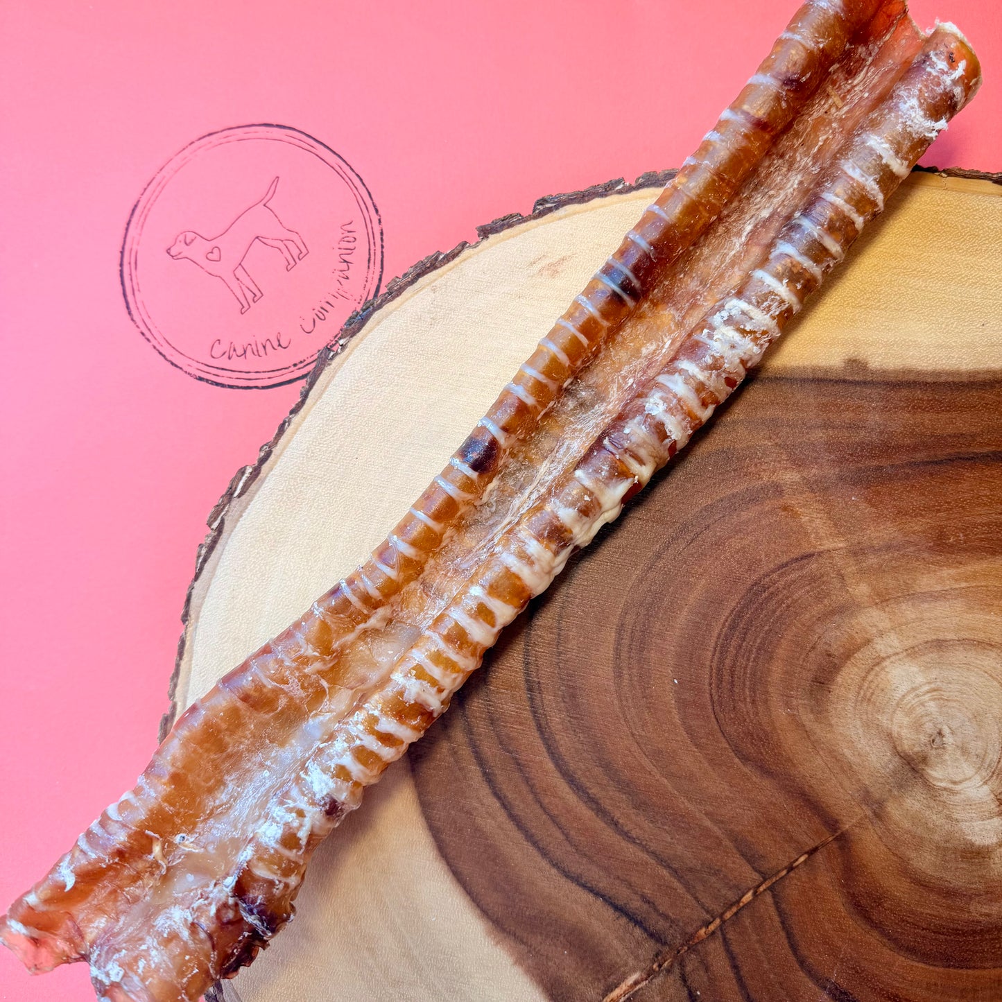 Buffalo Trachea 30cm