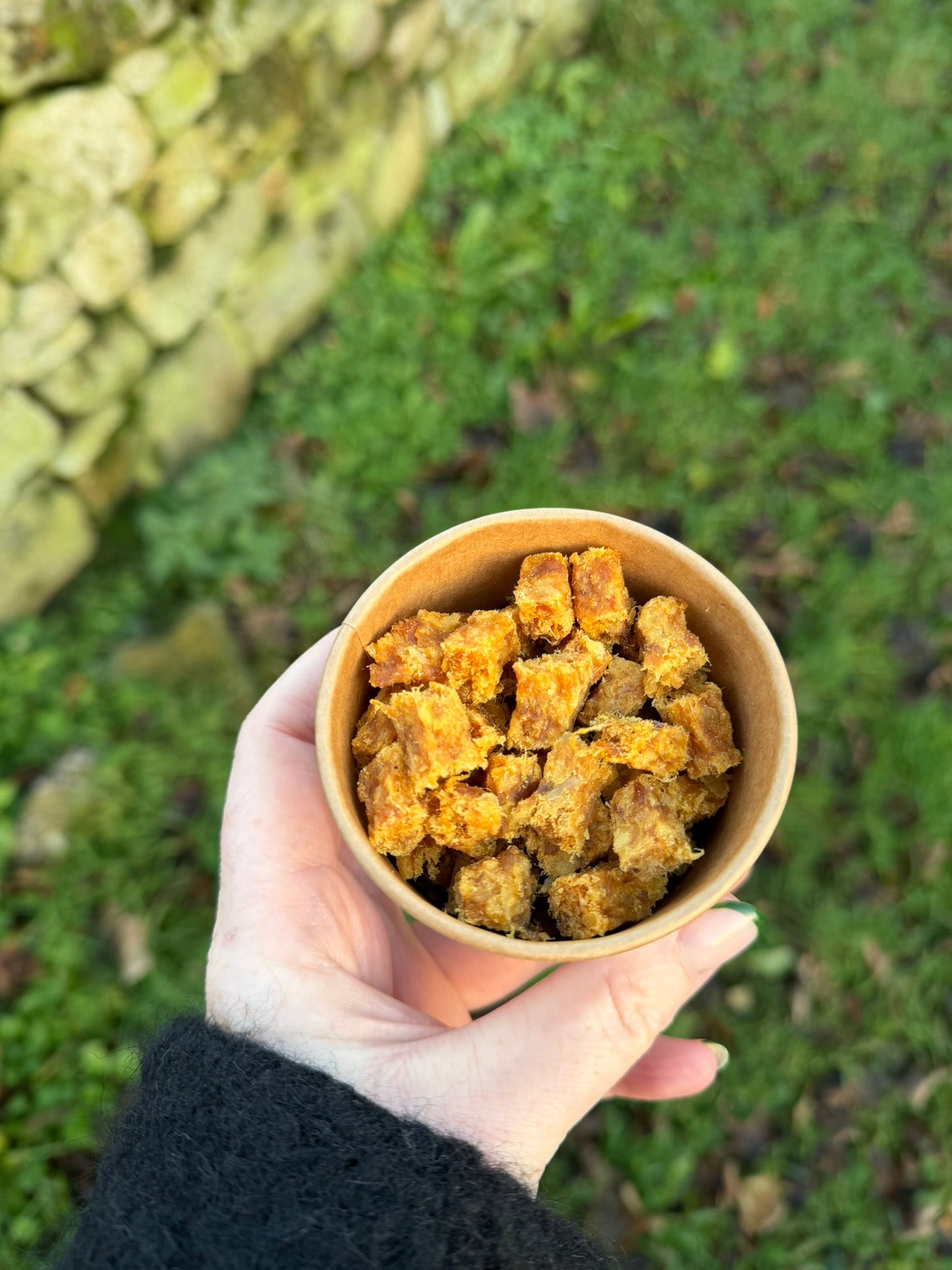 "Tidbits" Training Treats | Selection of flavours