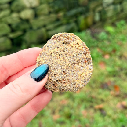 Quail, peach & honey cookies
