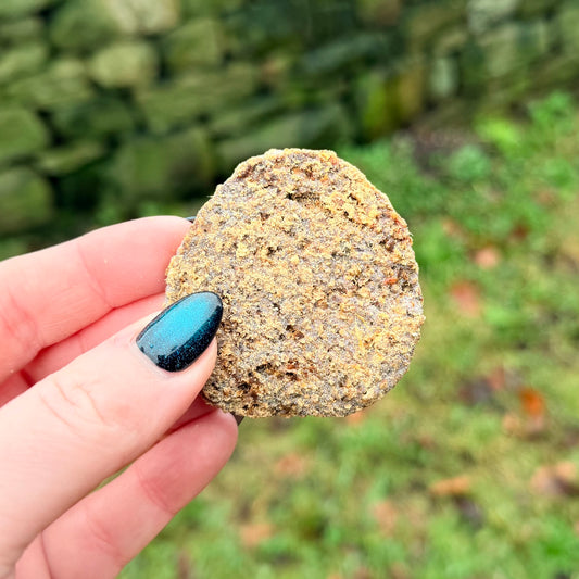 Quail, peach & honey cookies