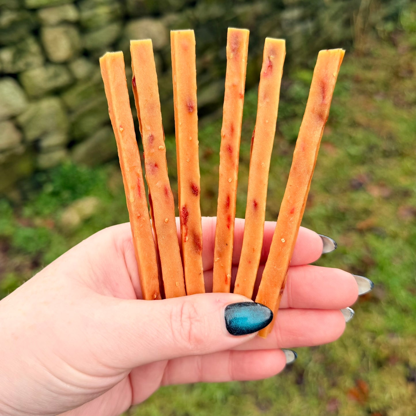 Chicken and goji sticks