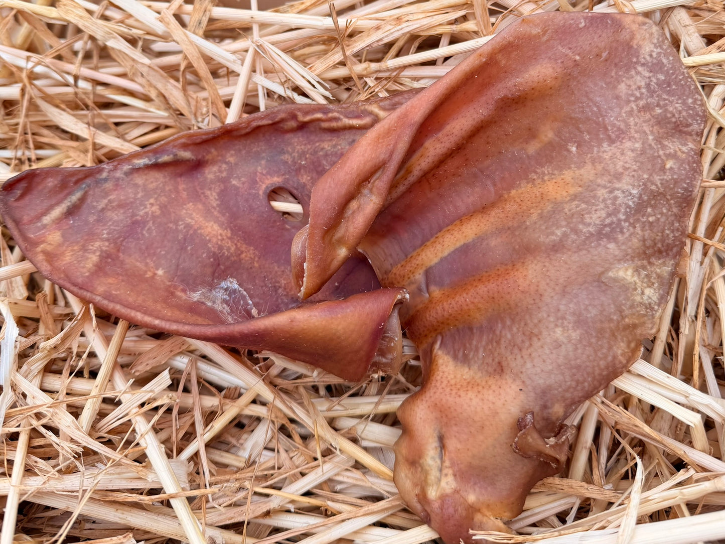 Pigs ear