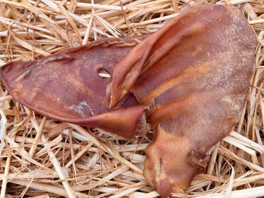 Pigs ear