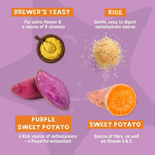 Pawtato Purple Knots Small