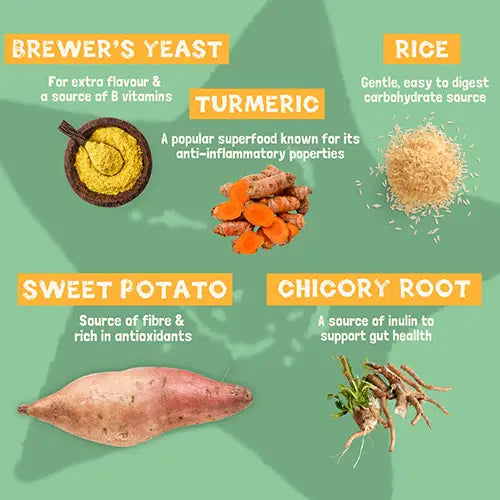 Pawtato Tubes Tumeric & Chicory