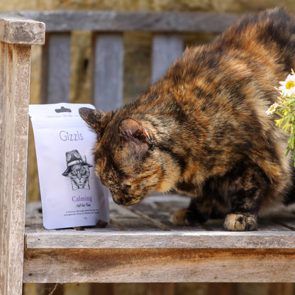 Calming Soft Cat Treats