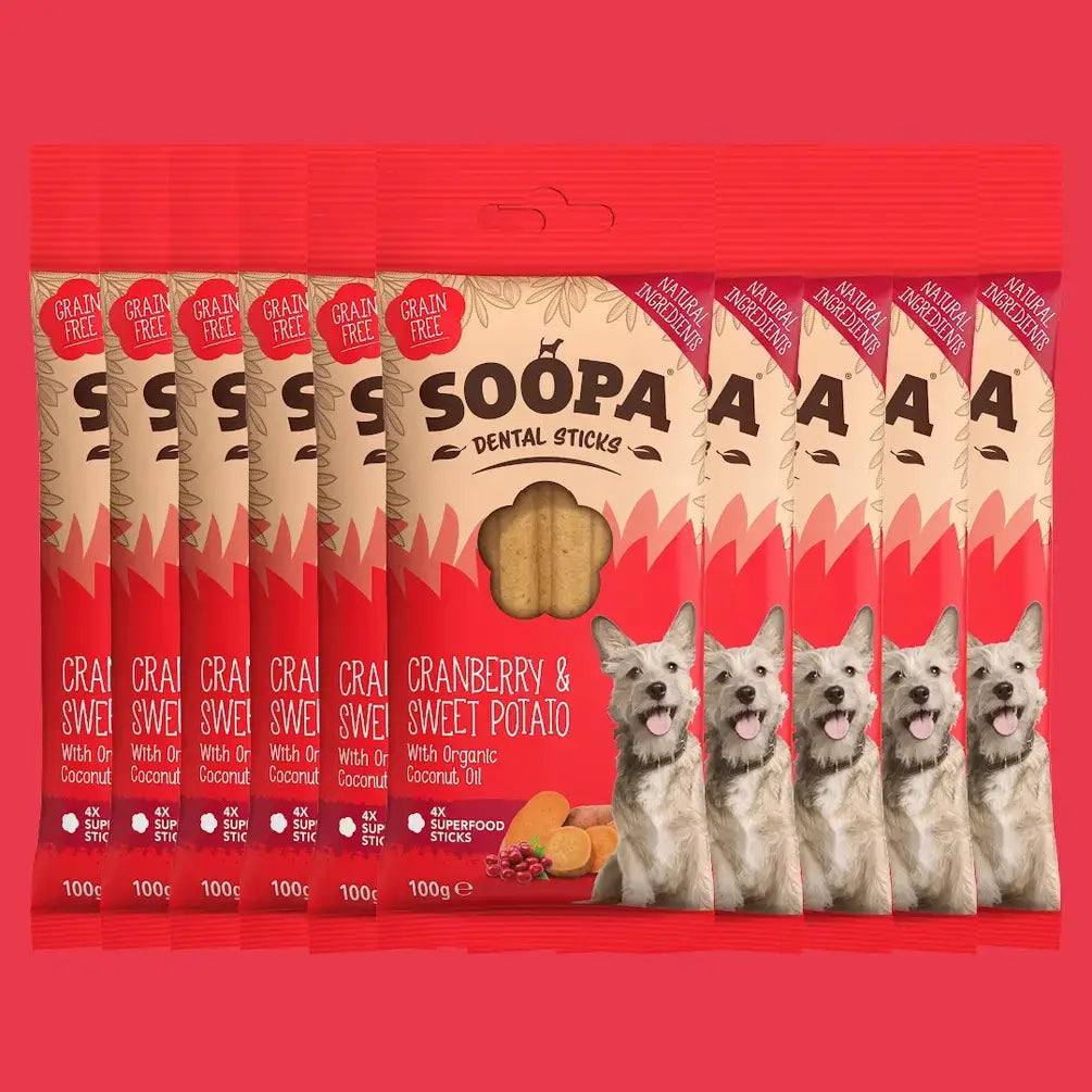 Cranberry & Sweet Potato Dog Dental Sticks: Single Pack