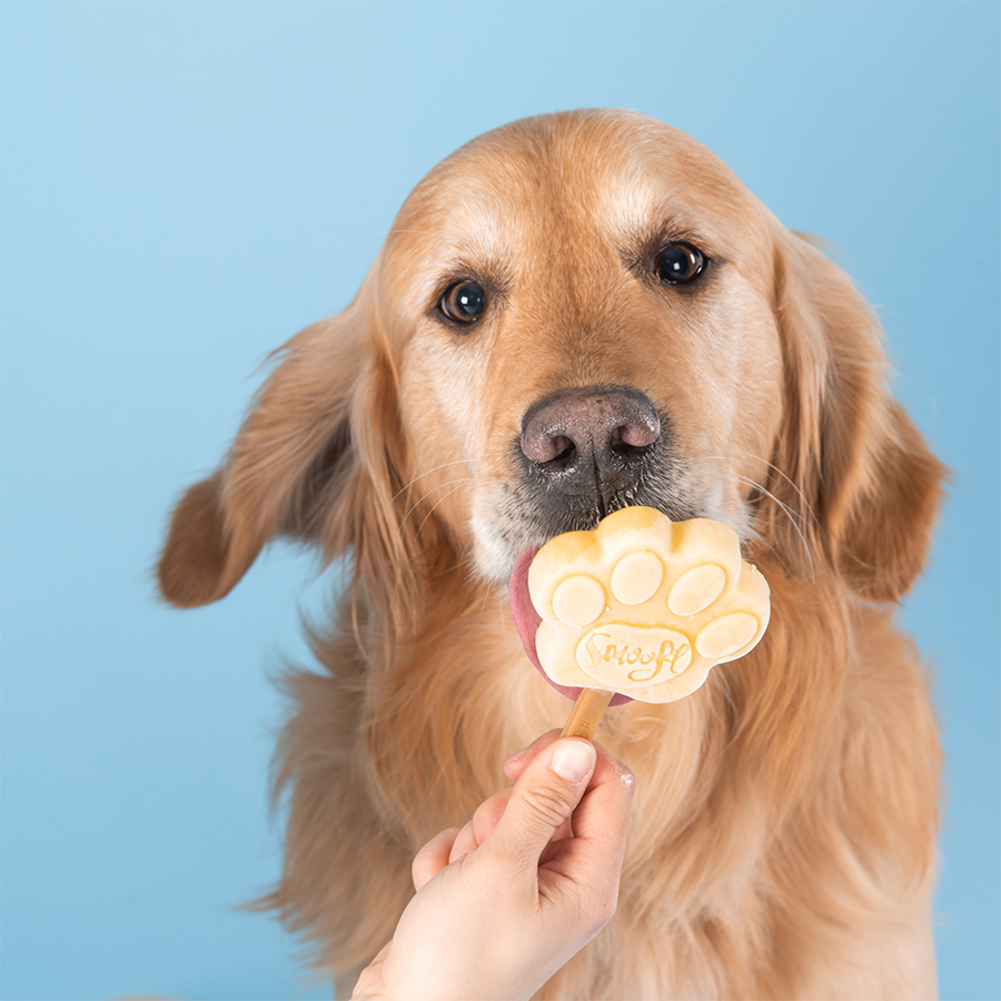 Peanut Butter Dog Ices (makes 10)