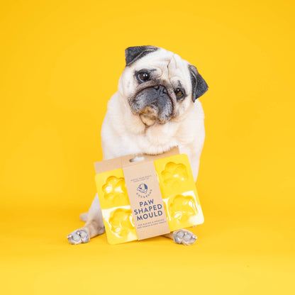 Silicone treat mold | 2 pack