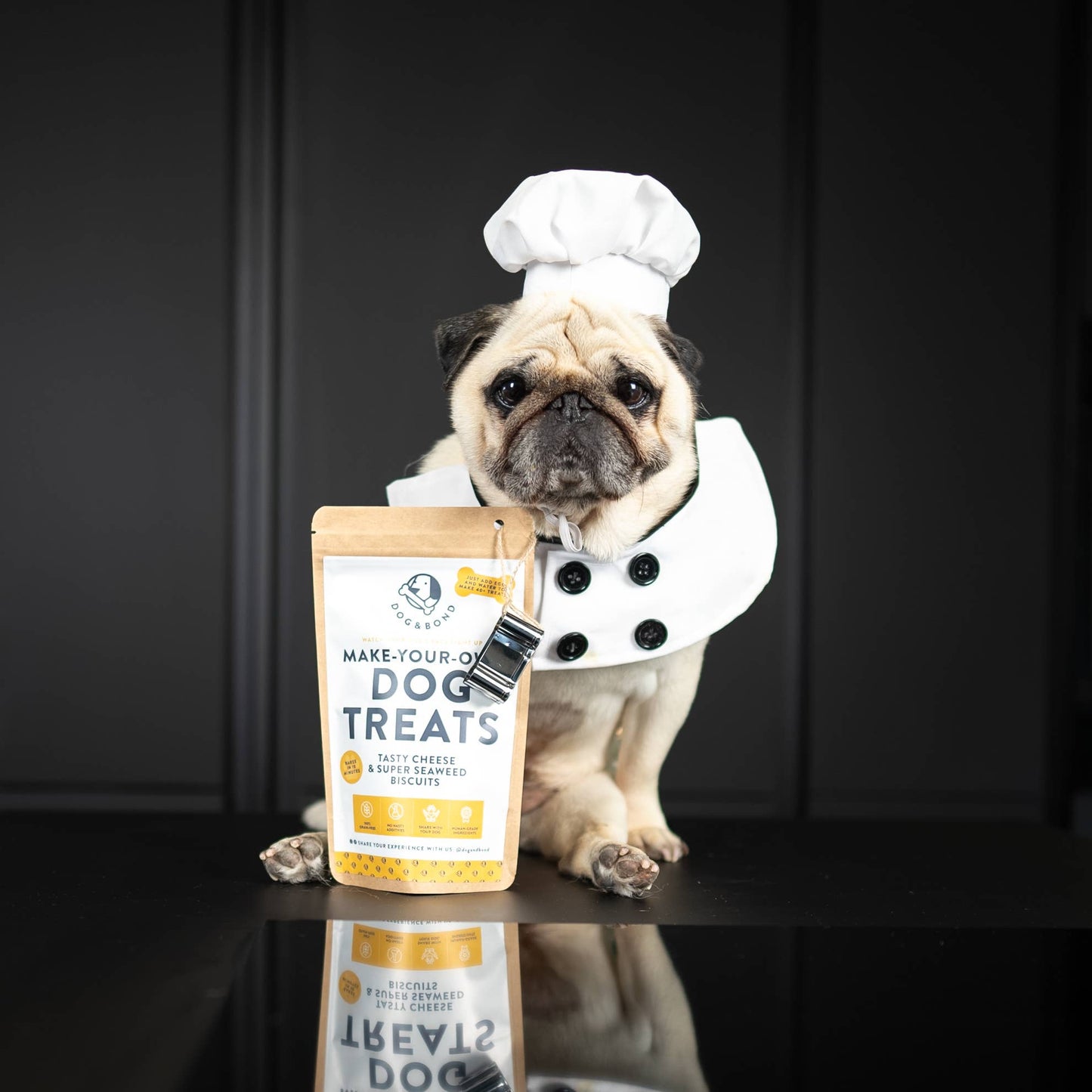 Make-Your-Own Dog Treats |Cheese & Super Seaweed