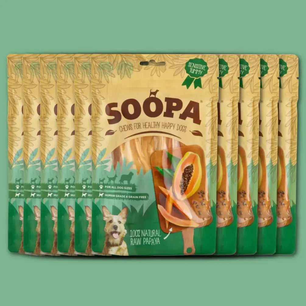 Natural Papaya Dog Chews: Single Pack