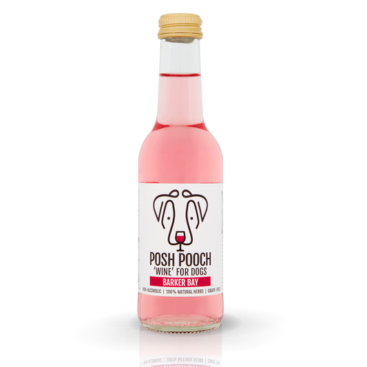 Posh Pooch Rose Dog 'Wine'