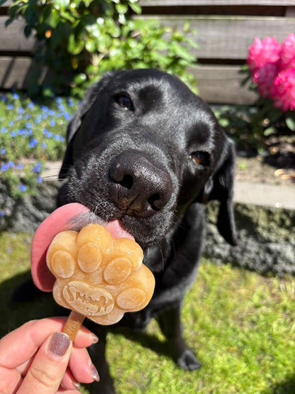 Peanut Butter Dog Ices (makes 10)