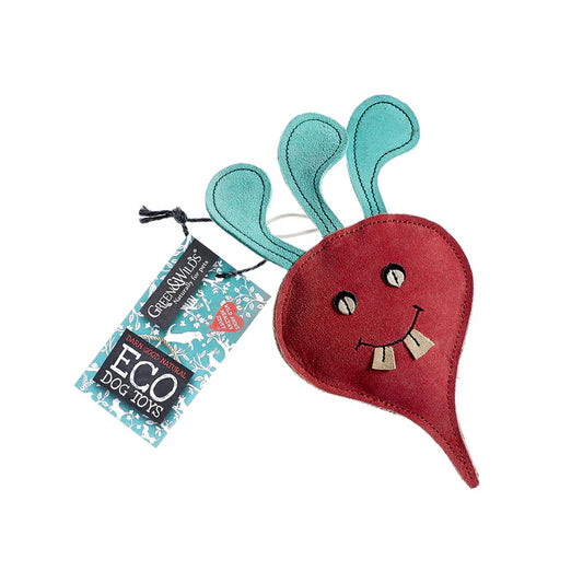 Terry the Turnip eco toy